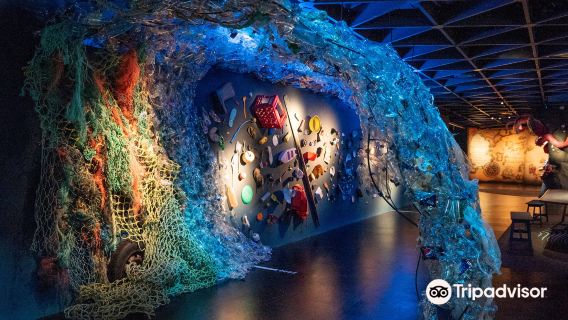 Norway + Huk Beach + Vigeland Sculpture Park + Oslo City Hall + Maritime Museum