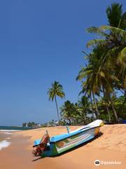 Beruwala Beach