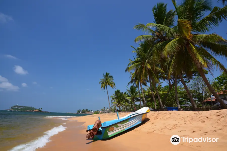 Beruwala Beach