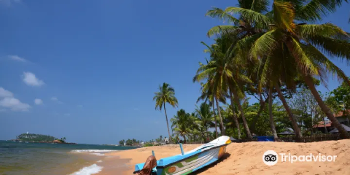 Beruwala Beach