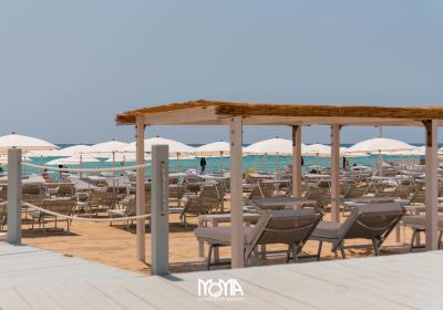 MoMà Exclusive Beach