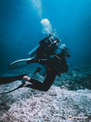 Dpm Diving Gili