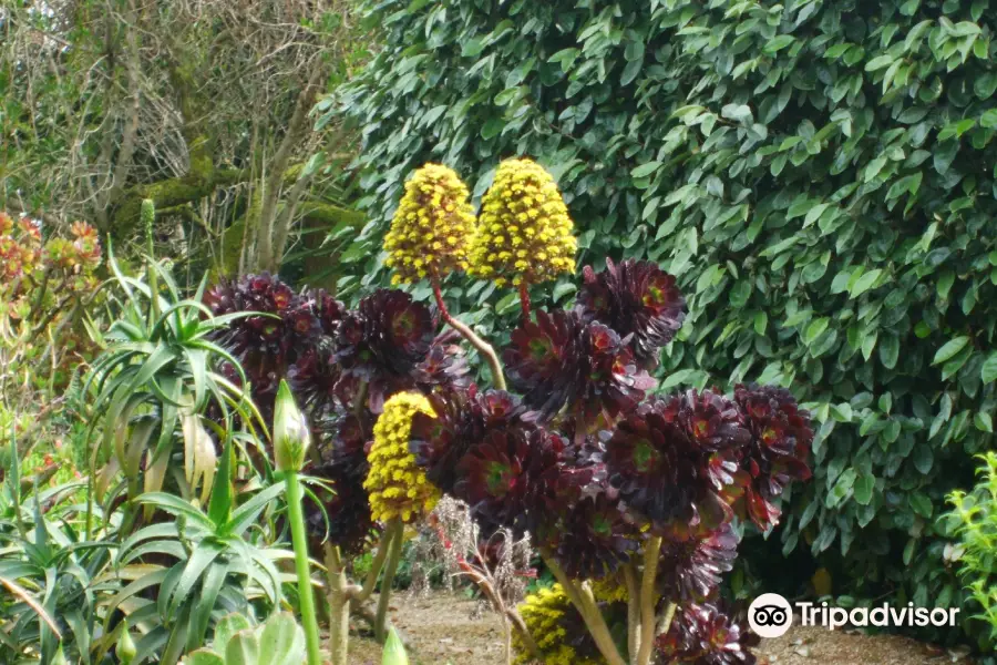 Jardin Exotique et Botanique de Roscoff