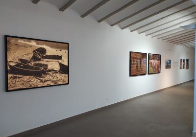 Museo de Arte Contemporaneo