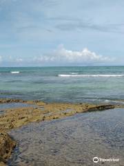 Tamandaré beach