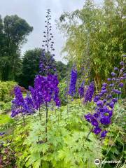 June Blake's Garden