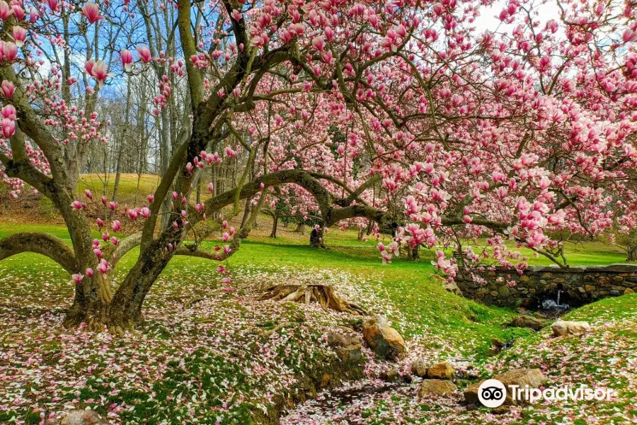 Valley Garden Park