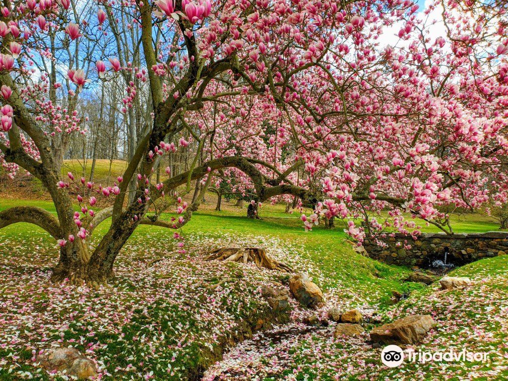 Valley Garden Park