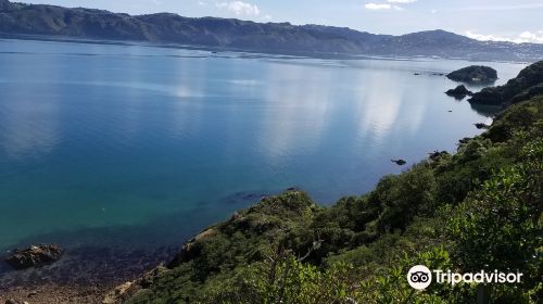 Matiu / Somes Island