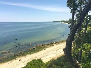 Wildwood State Park