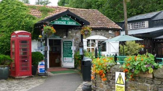 Gower Heritage Centre