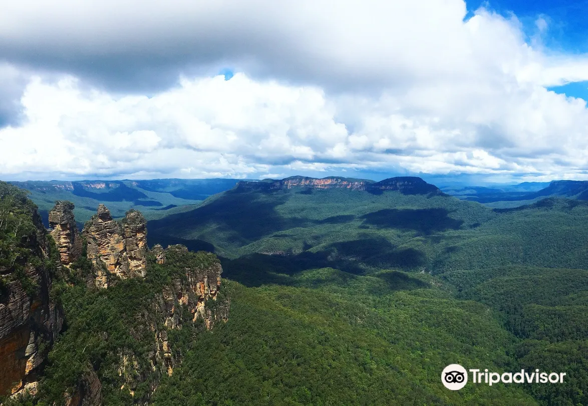 1_The Happy Coach Sydney