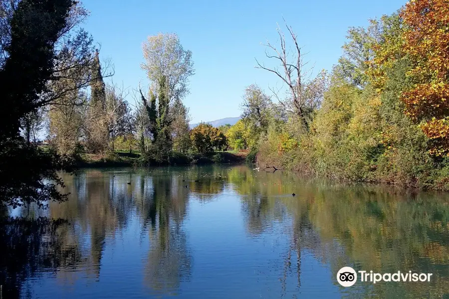 Parco dei Laghetti di Rorai