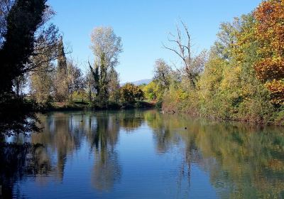 Parco dei Laghetti di Rorai