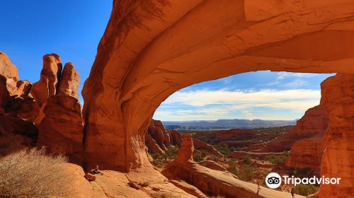 Tower Arch