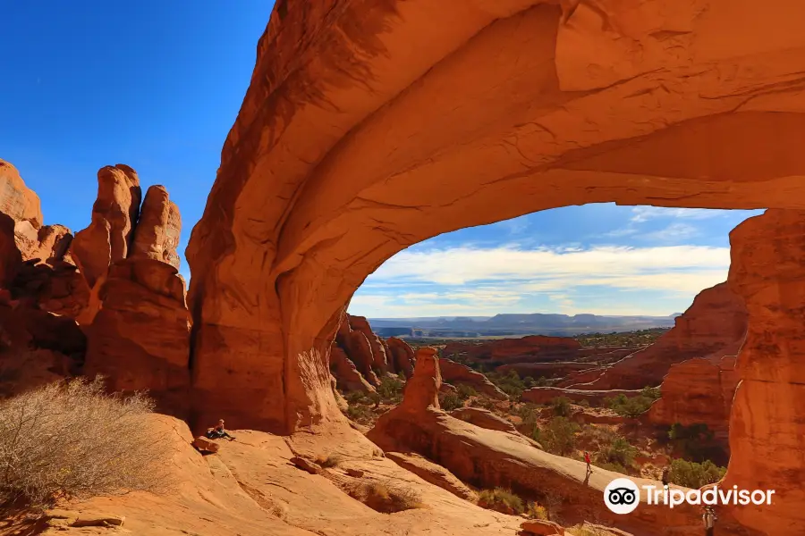 Tower Arch