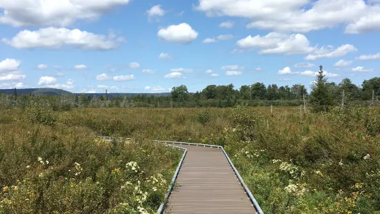 Canaan Valley National Wildlife Refuge