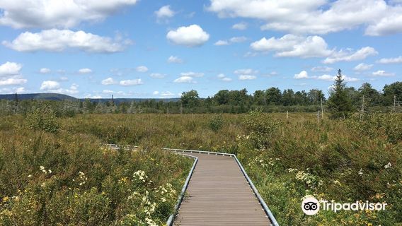 Canaan Valley National Wildlife Refuge