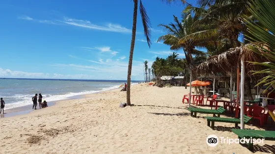 Coqueiral Beach - Prado