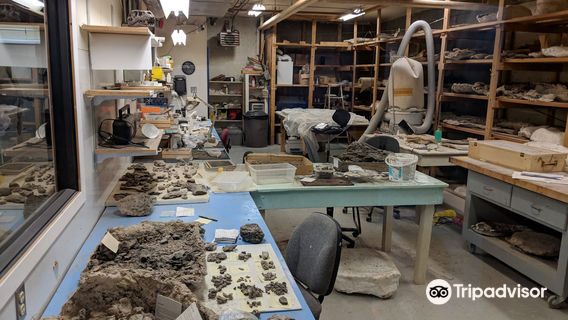 Canadian Fossil Discovery Centre