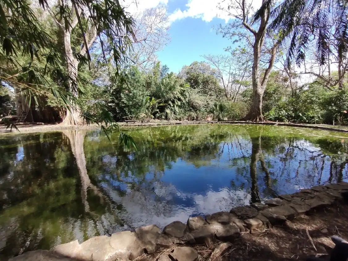 Hotels near Botanical Orchid Garden La Garita