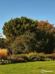 Jardin botanique de St Andrews