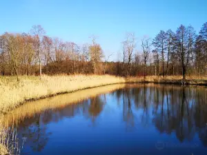 Lewityn MOSIR Pabianice
