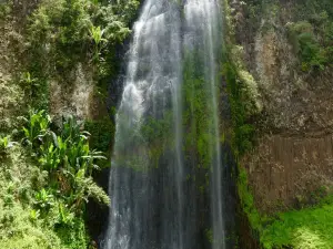 ባርታ ፏፏቴ Barta water Fall