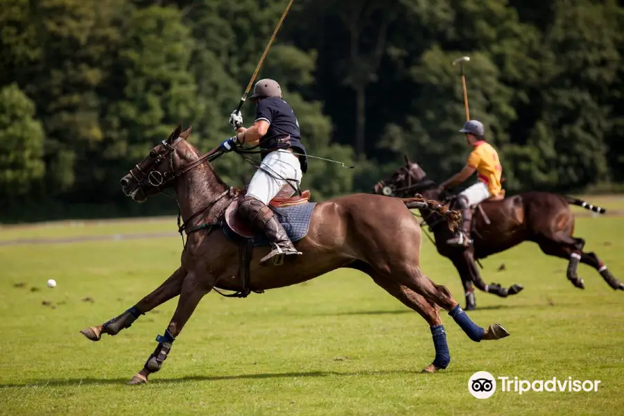 Argentina Polo Academy