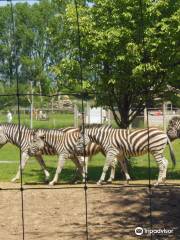 zoo di Twycross