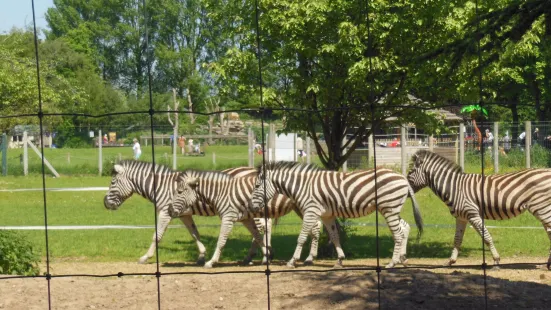 トワイクロス動物園