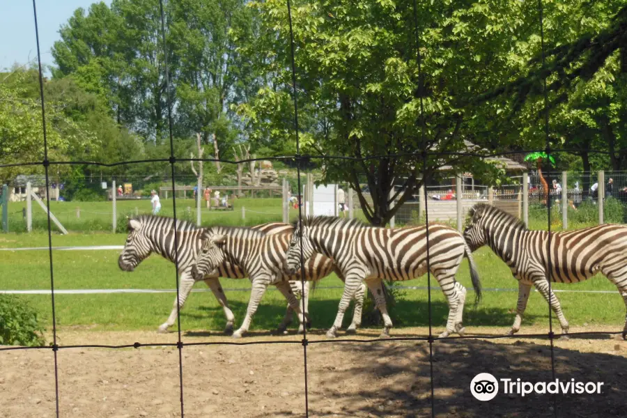 zoo di Twycross