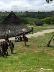 Castell Henllys Iron Age Village