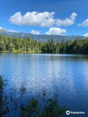 Ancient Cedars Trail