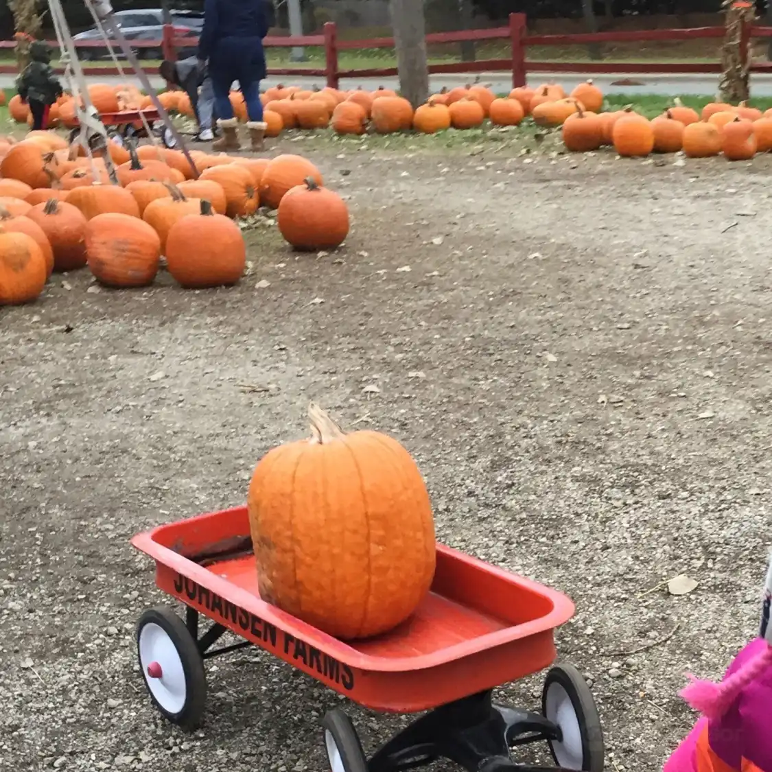 Hotels near Johansen Farms Children's Zoo & Pumpkin Farm
