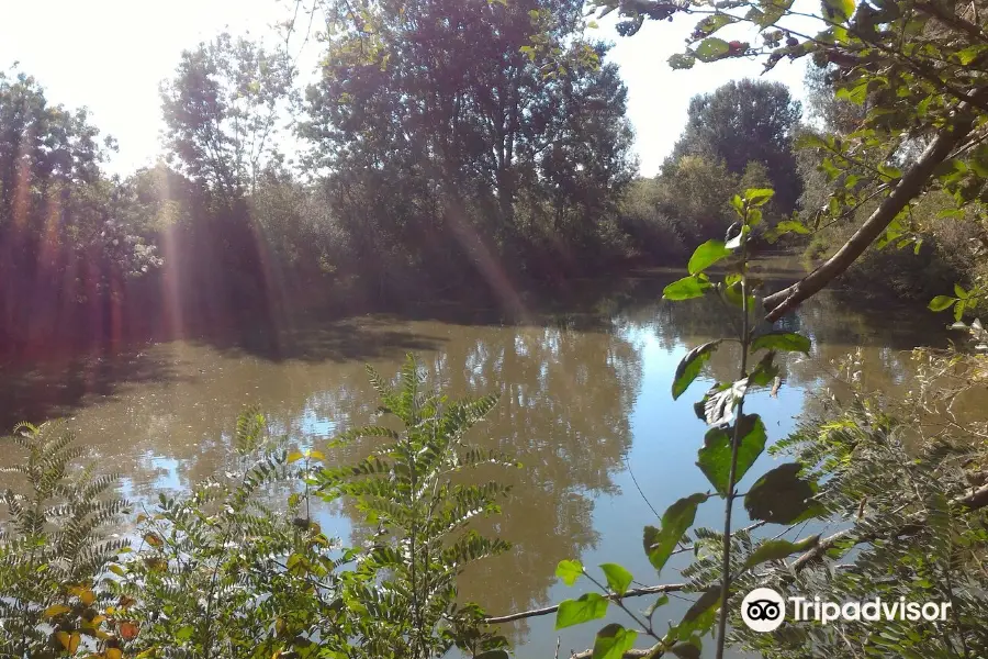 Riserva naturale orientata Parma Morta