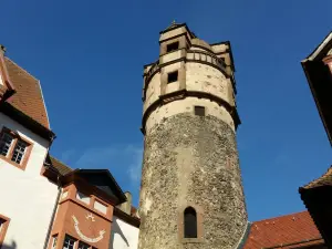 Ronneburg Castle