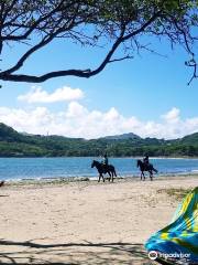 Aquaholics Kitesurfing St. Lucia