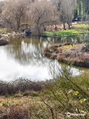 Windlesham Arboretum