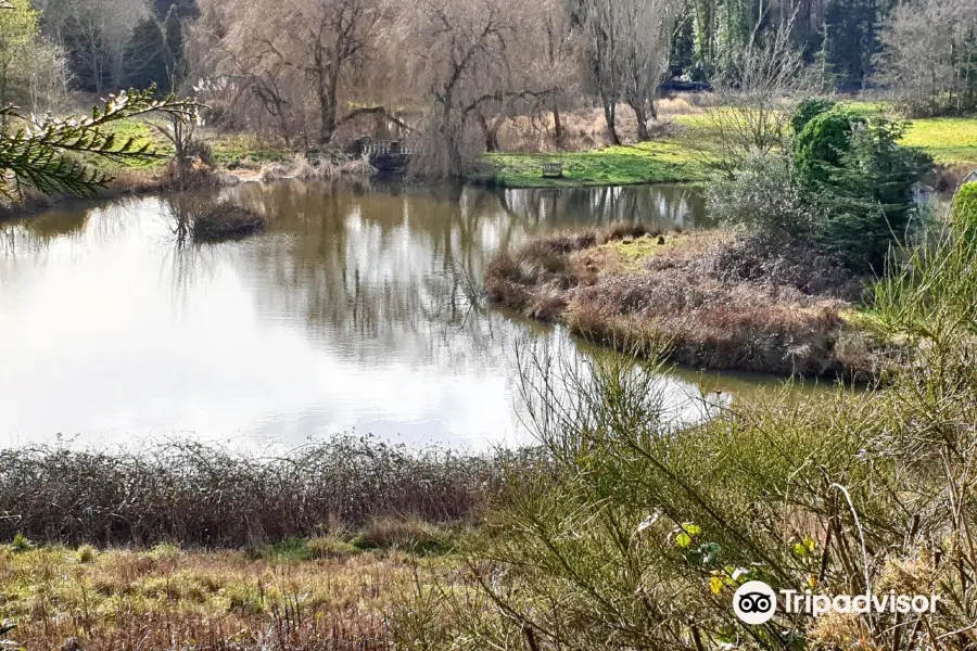 Windlesham Arboretum