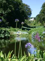 Trebah Garden