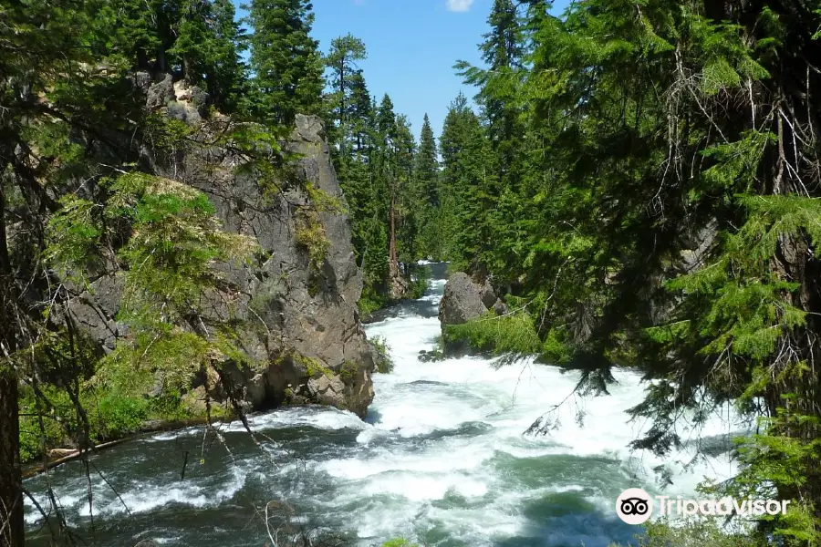 Deschutes National  Forest