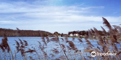 Le Parc Marcel Cabiddu