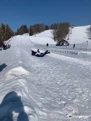 Buena Vista Ski Area