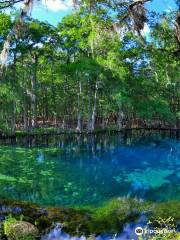 Manatee Springs State Park