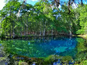 Manatee Springs State Park