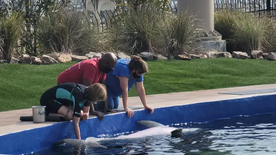 Mississippi Aquarium