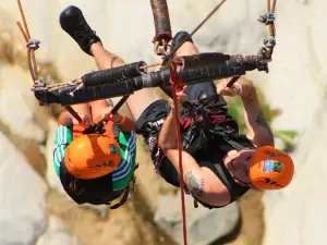 Wild Canyon Adventures