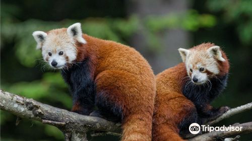 Sequoia Park Zoo