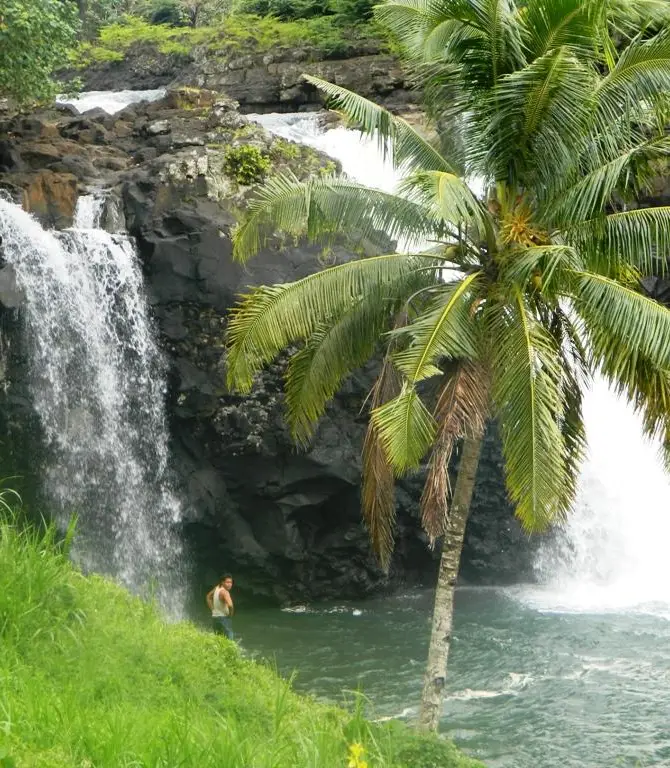 Vaitele